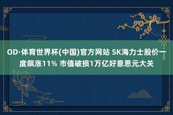 OD·体育世界杯(中国)官方网站 SK海力士股价一度飙涨11% 市值破损1万亿好意思元大关