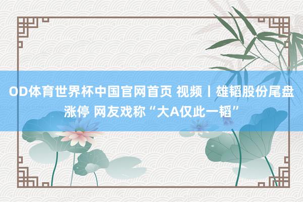 OD体育世界杯中国官网首页 视频丨雄韬股份尾盘涨停 网友戏称“大A仅此一韬”