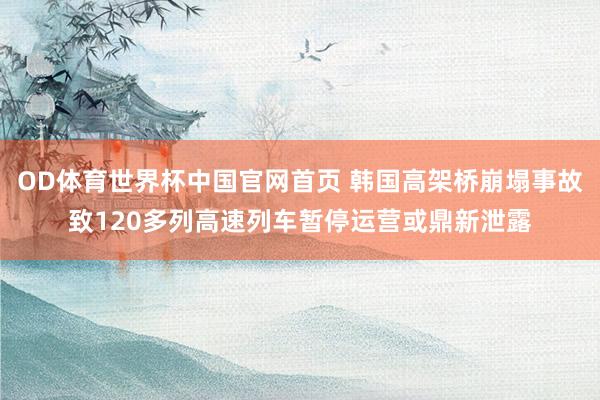 OD体育世界杯中国官网首页 韩国高架桥崩塌事故致120多列高速列车暂停运营或鼎新泄露