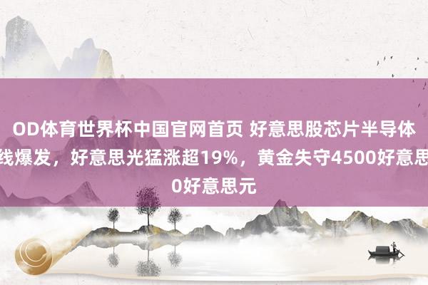 OD体育世界杯中国官网首页 好意思股芯片半导体全线爆发，好意思光猛涨超19%，黄金失守4500好意思元