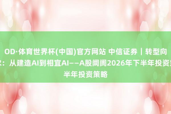 OD·体育世界杯(中国)官方网站 中信证券｜转型向内求：从建造AI到相宜AI——A股阛阓2026年下半年投资策略