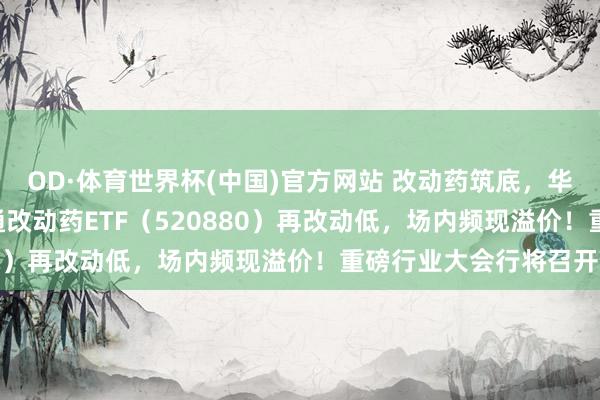 OD·体育世界杯(中国)官方网站 改动药筑底，华宝基金药ETF、港股通改动药ETF（520880）再改动低，场内频现溢价！重磅行业大会行将召开