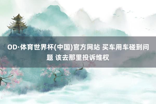 OD·体育世界杯(中国)官方网站 买车用车碰到问题 该去那里投诉维权