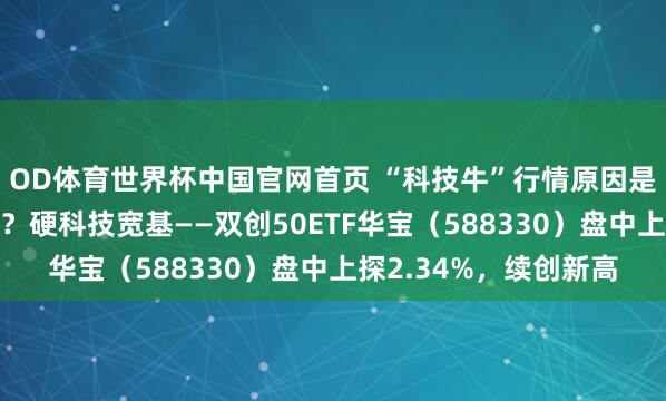 OD体育世界杯中国官网首页 “科技牛”行情原因是什么？还能持续涨吗？硬科技宽基——双创50ETF华宝（588330）盘中上探2.34%，续创新高