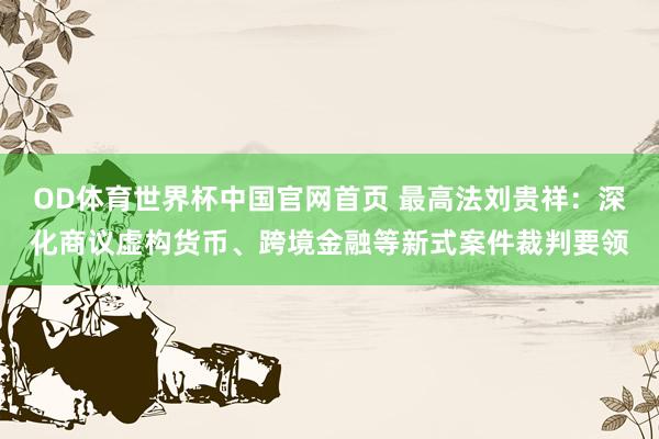 OD体育世界杯中国官网首页 最高法刘贵祥：深化商议虚构货币、跨境金融等新式案件裁判要领