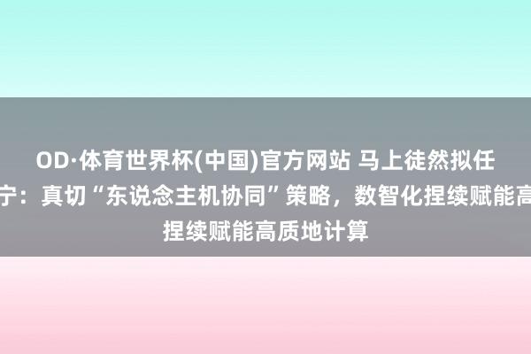 OD·体育世界杯(中国)官方网站 马上徒然拟任总司理蒋宁：真切“东说念主机协同”策略，数智化捏续赋能高质地计算
