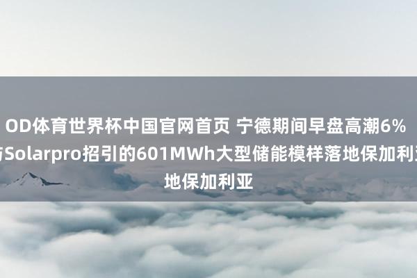 OD体育世界杯中国官网首页 宁德期间早盘高潮6% 与Solarpro招引的601MWh大型储能模样落地保加利亚