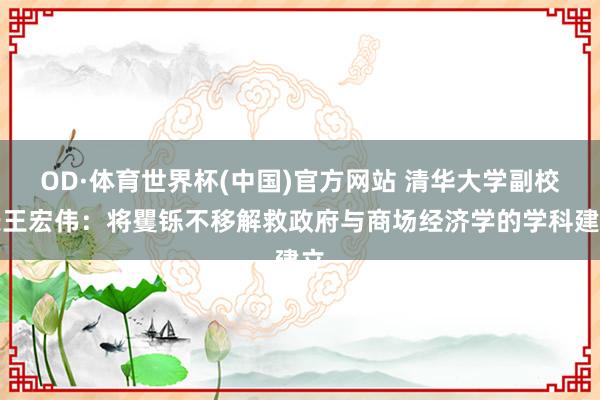 OD·体育世界杯(中国)官方网站 清华大学副校长王宏伟：将矍铄不移解救政府与商场经济学的学科建立