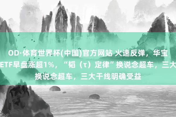 OD·体育世界杯(中国)官方网站 火速反弹，华宝基金科创芯片ETF早盘涨超1%，“韬（τ）定律”换说念超车，三大干线明确受益