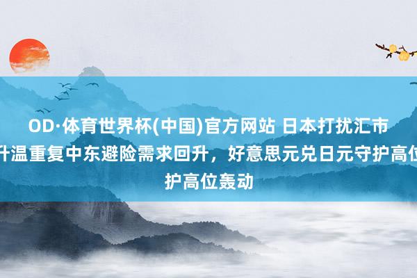 OD·体育世界杯(中国)官方网站 日本打扰汇市预期升温重复中东避险需求回升，好意思元兑日元守护高位轰动