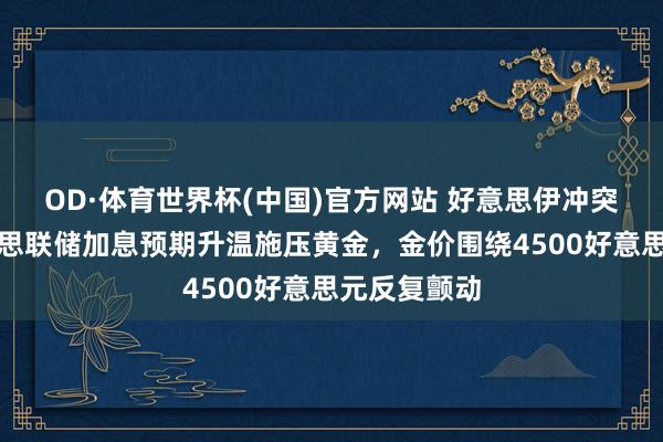 OD·体育世界杯(中国)官方网站 好意思伊冲突升级与好意思联储加息预期升温施压黄金，金价围绕4500好意思元反复颤动