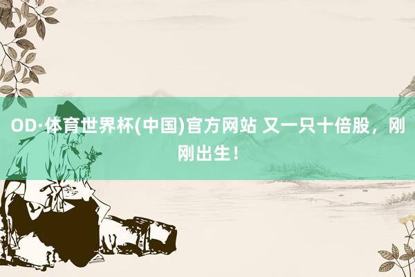 OD·体育世界杯(中国)官方网站 又一只十倍股，刚刚出生！