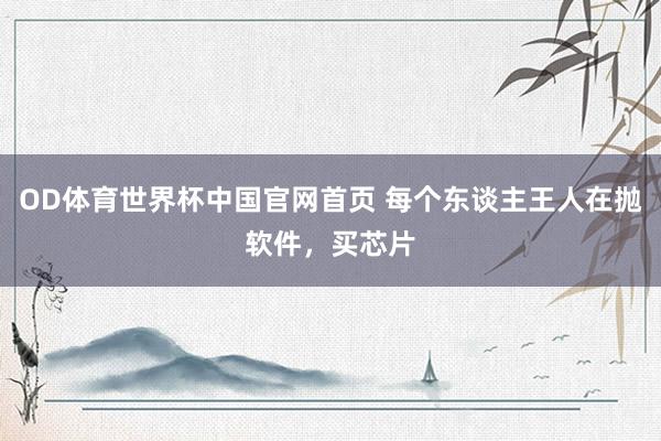 OD体育世界杯中国官网首页 每个东谈主王人在抛软件，买芯片