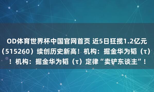 OD体育世界杯中国官网首页 近5日狂揽1.2亿元！华宝基金电子ETF（515260）续创历史新高！机构：掘金华为韬（τ）定律“卖铲东谈主”！