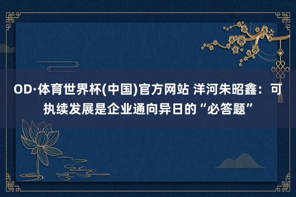 OD·体育世界杯(中国)官方网站 洋河朱昭鑫：可执续发展是企业通向异日的“必答题”