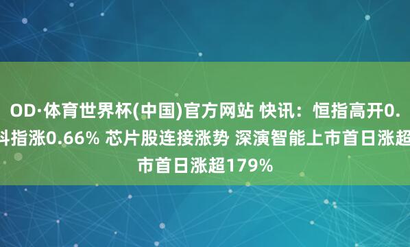 OD·体育世界杯(中国)官方网站 快讯：恒指高开0.04% 科指涨0.66% 芯片股连接涨势 深演智能上市首日涨超179%