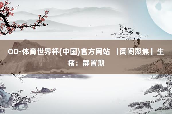 OD·体育世界杯(中国)官方网站 【阛阓聚焦】生猪：静置期