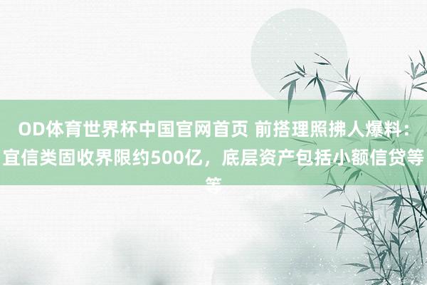 OD体育世界杯中国官网首页 前搭理照拂人爆料：宜信类固收界限约500亿，底层资产包括小额信贷等