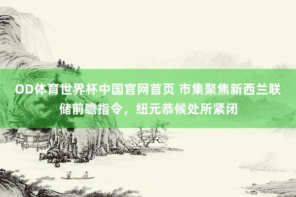 OD体育世界杯中国官网首页 市集聚焦新西兰联储前瞻指令，纽元恭候处所紧闭