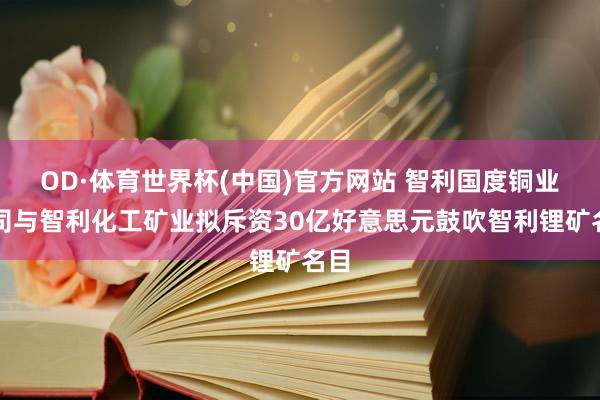 OD·体育世界杯(中国)官方网站 智利国度铜业公司与智利化工矿业拟斥资30亿好意思元鼓吹智利锂矿名目