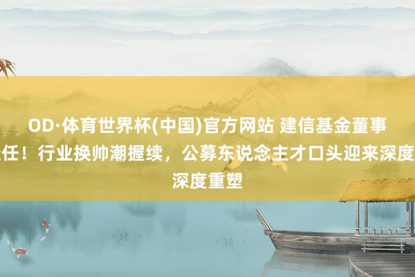 OD·体育世界杯(中国)官方网站 建信基金董事长赴任！行业换帅潮握续，公募东说念主才口头迎来深度重塑