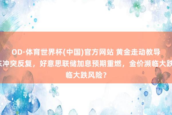 OD·体育世界杯(中国)官方网站 黄金走动教导：中东冲突反复，好意思联储加息预期重燃，金价濒临大跌风险？