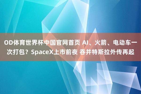 OD体育世界杯中国官网首页 AI、火箭、电动车一次打包？SpaceX上市前夜 吞并特斯拉外传再起