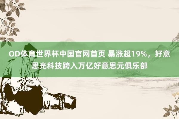 OD体育世界杯中国官网首页 暴涨超19%，好意思光科技跨入万亿好意思元俱乐部