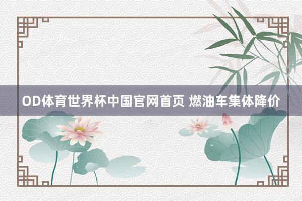 OD体育世界杯中国官网首页 燃油车集体降价