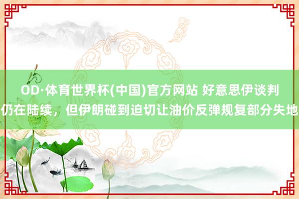 OD·体育世界杯(中国)官方网站 好意思伊谈判仍在陆续，但伊朗碰到迫切让油价反弹规复部分失地