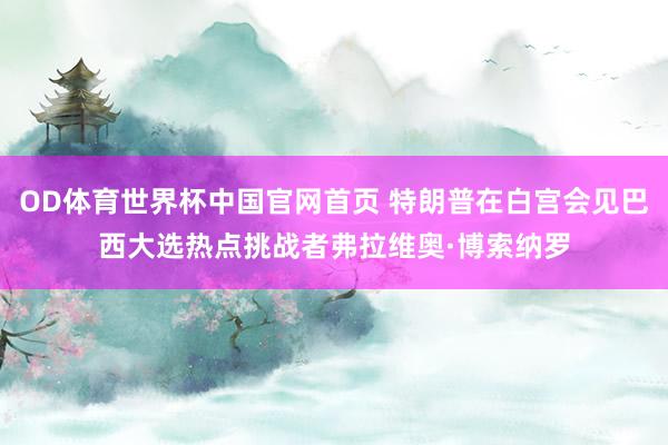 OD体育世界杯中国官网首页 特朗普在白宫会见巴西大选热点挑战者弗拉维奥·博索纳罗