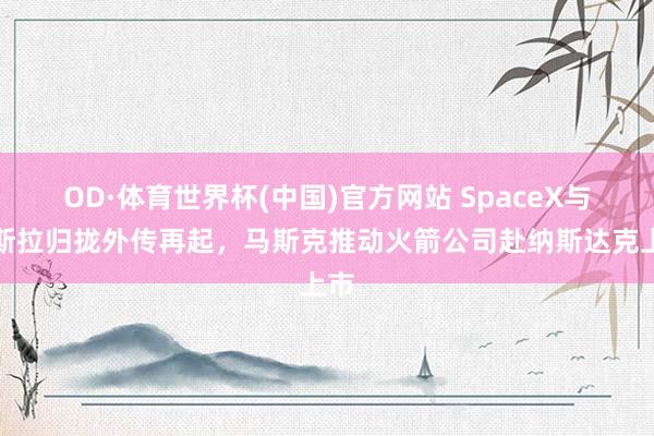 OD·体育世界杯(中国)官方网站 SpaceX与特斯拉归拢外传再起，马斯克推动火箭公司赴纳斯达克上市
