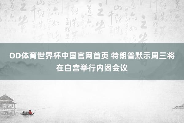 OD体育世界杯中国官网首页 特朗普默示周三将在白宫举行内阁会议