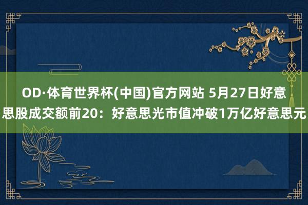 OD·体育世界杯(中国)官方网站 5月27日好意思股成交额前20：好意思光市值冲破1万亿好意思元