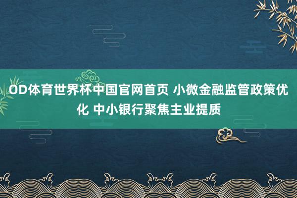 OD体育世界杯中国官网首页 小微金融监管政策优化 中小银行聚焦主业提质