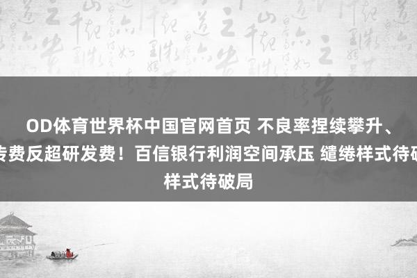 OD体育世界杯中国官网首页 不良率捏续攀升、宣传费反超研发费！百信银行利润空间承压 缱绻样式待破局