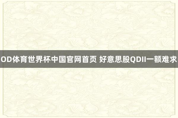 OD体育世界杯中国官网首页 好意思股QDII一额难求
