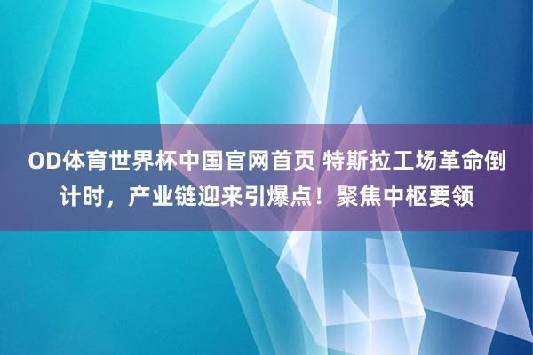 OD体育世界杯中国官网首页 特斯拉工场革命倒计时，产业链迎来引爆点！聚焦中枢要领