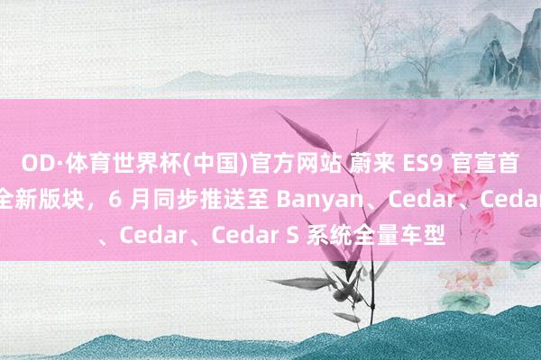OD·体育世界杯(中国)官方网站 蔚来 ES9 官宣首发蔚下天下模子全新版块，6 月同步推送至 Banyan、Cedar、Cedar S 系统全量车型