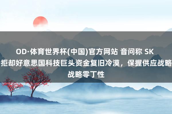 OD·体育世界杯(中国)官方网站 音问称 SK 海力士拒却好意思国科技巨头资金复旧冷漠，保握供应战略零丁性