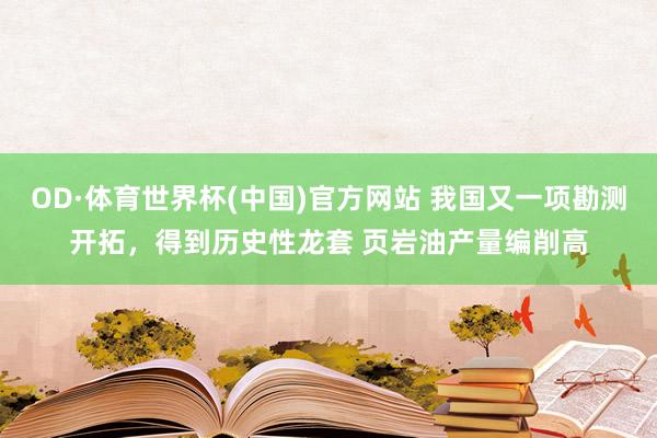 OD·体育世界杯(中国)官方网站 我国又一项勘测开拓，得到历史性龙套 页岩油产量编削高
