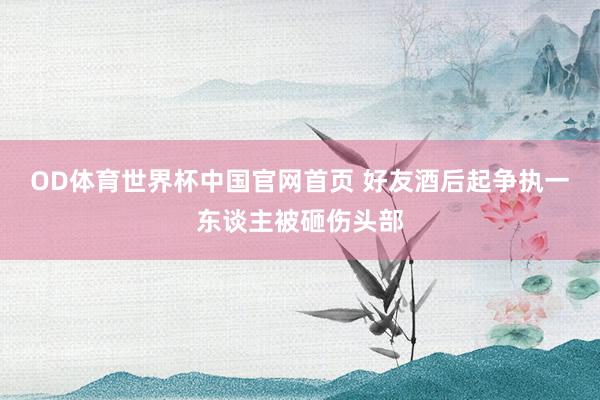 OD体育世界杯中国官网首页 好友酒后起争执一东谈主被砸伤头部
