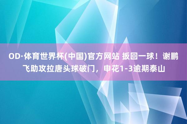 OD·体育世界杯(中国)官方网站 扳回一球！谢鹏飞助攻拉唐头球破门，申花1-3逾期泰山