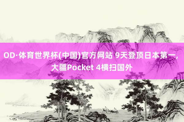 OD·体育世界杯(中国)官方网站 9天登顶日本第一, 大疆Pocket 4横扫国外