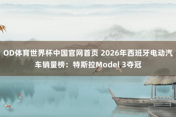 OD体育世界杯中国官网首页 2026年西班牙电动汽车销量榜：特斯拉Model 3夺冠
