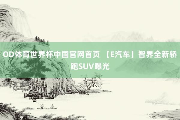 OD体育世界杯中国官网首页 【E汽车】智界全新轿跑SUV曝光