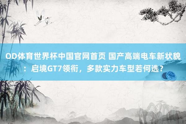 OD体育世界杯中国官网首页 国产高端电车新状貌：启境GT7领衔，多款实力车型若何选？