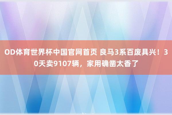 OD体育世界杯中国官网首页 良马3系百废具兴！30天卖9107辆，家用确凿太香了