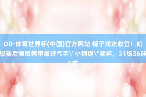 OD·体育世界杯(中国)官方网站 帽子戏法收官！凯恩赛后领取德甲最好弓手