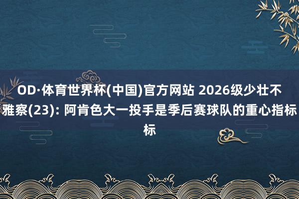 OD·体育世界杯(中国)官方网站 2026级少壮不雅察(23): 阿肯色大一投手是季后赛球队的重心指标